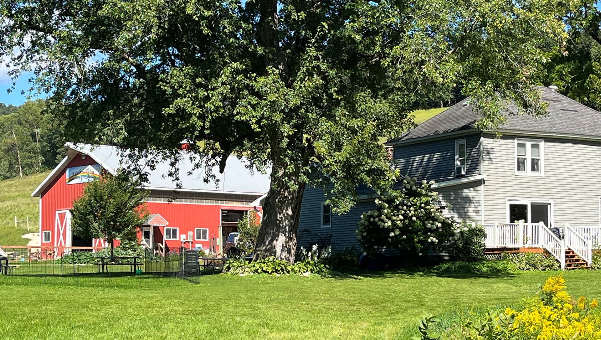 A red barn and a gray house are nestled among trees and greenery in a sunny countryside setting.