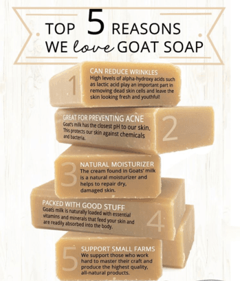 Infographic listing the top five reasons to love goat soap, highlighting benefits like wrinkle reduction, acne prevention, natural moisturizing, nutrient content, and support for small farms.