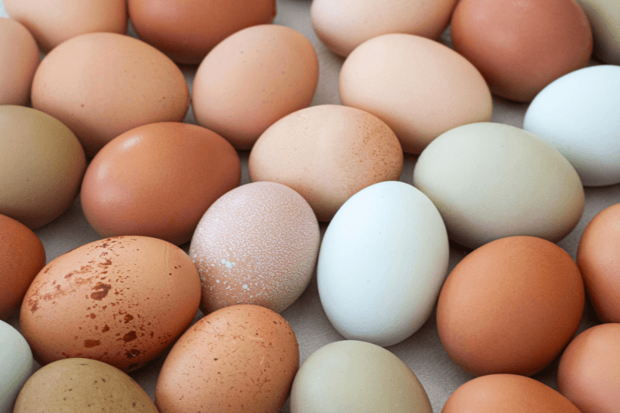A variety of eggs in different colors and speckles arranged on a surface.
