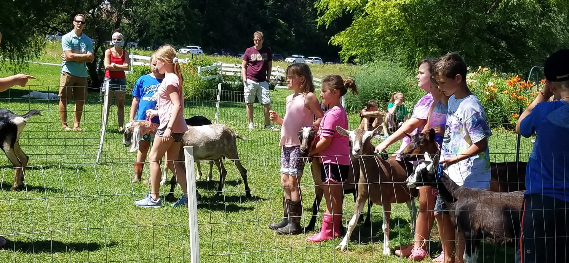 A group of children interact with goats in a sunny outdoor setting.