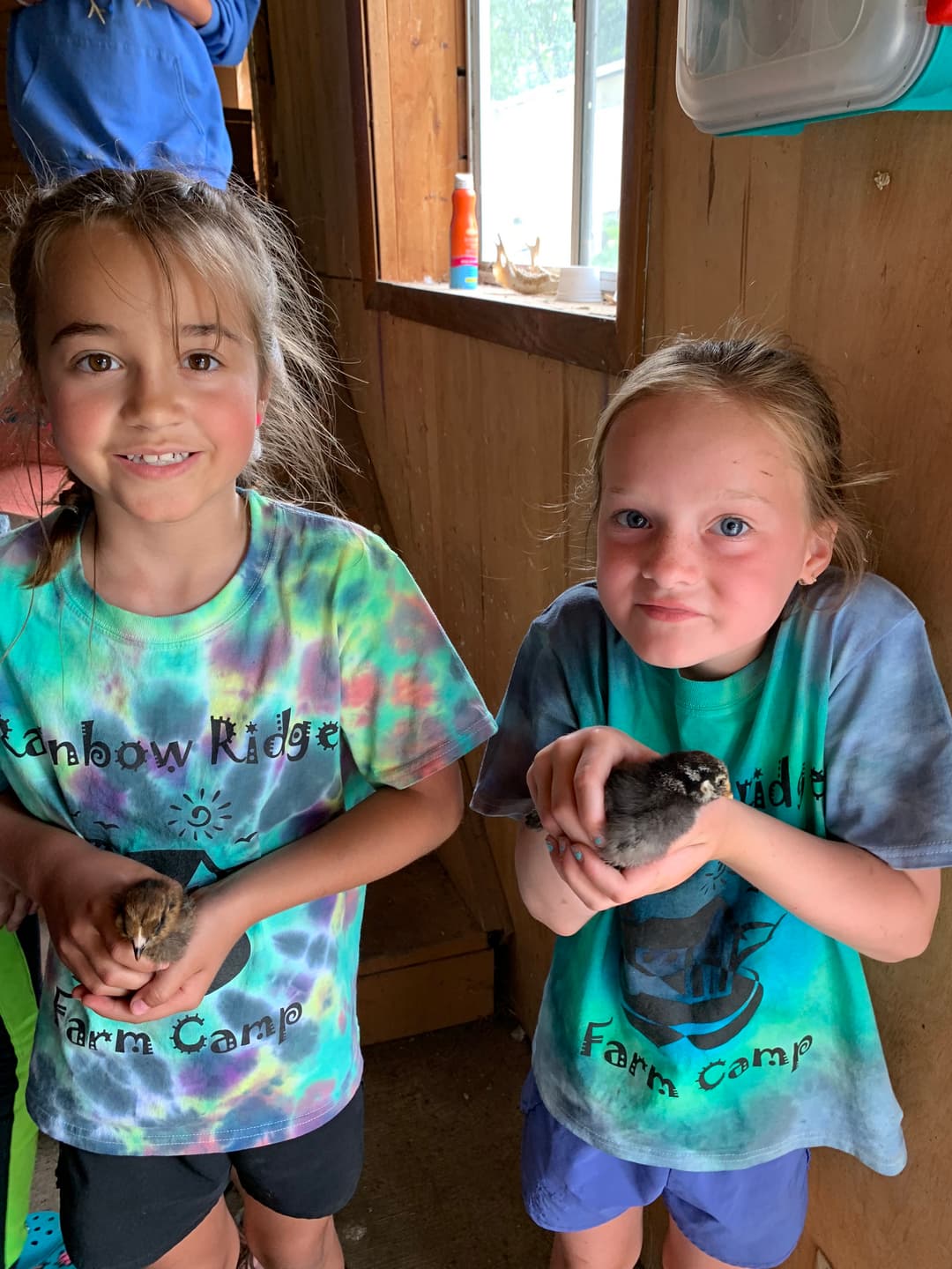 Two smiling girls in tie-dye t-shirts hold baby chicks inside a wooden cabin.