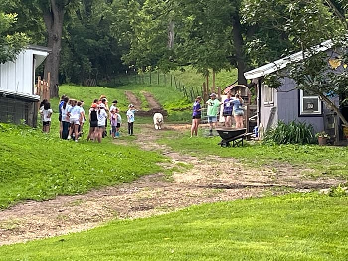 A group of children gathers on a grassy path at a farm, with adults nearby and a dog walking in the background.